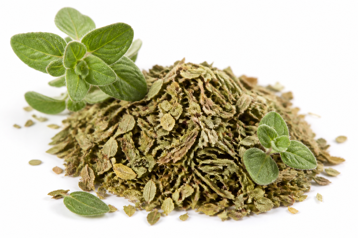 Oregano